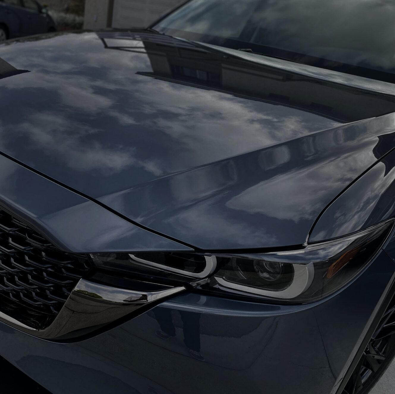 auto detailing